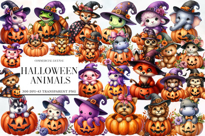 Halloween Animals Clipart PNG Bundle | Cute Witch Animal PNG, Spooky Pumpkin Animal Clipart