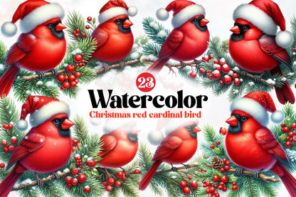 Watercolor Christmas Red Cardinal Bird Clipart PNG Bundle | Holiday Cardinal Bird