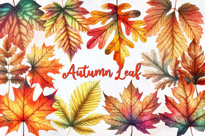 Autumn Leaf Watercolor Clipart PNG Bundle | Fall Leaves PNG | Autumn Leaf Sublimation | Watercolor Fall Clipart