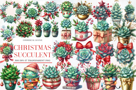 Christmas Succulent Clipart PNG Bundle | Watercolor Festive Succulent Clipart | Holiday Botanical Christmas PNG