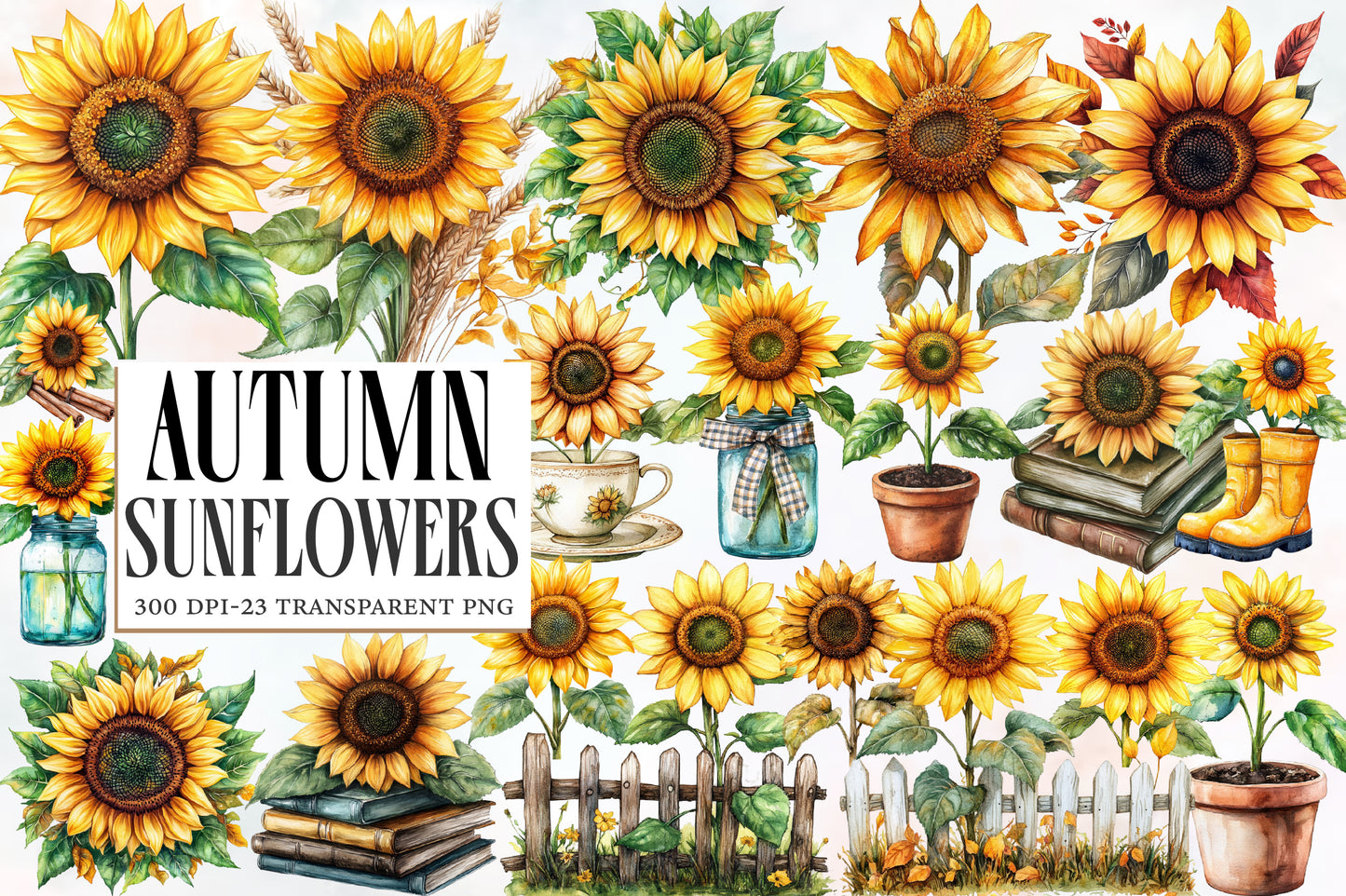 Autumn Sunflowers Clipart PNG Bundle | Watercolor Fall Sunflower Clipart | Rustic Harvest Floral PNG