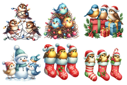 Christmas Funny Three Birds Sublimation PNG Bundle | Watercolor Cute Holiday Bird Trio Clipart | Funny Christmas Birds PNG