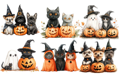 Halloween Dog and Cat Clipart PNG | Cute Witch Hat Pets, Black Cat & Puppy Pumpkin Clipart,