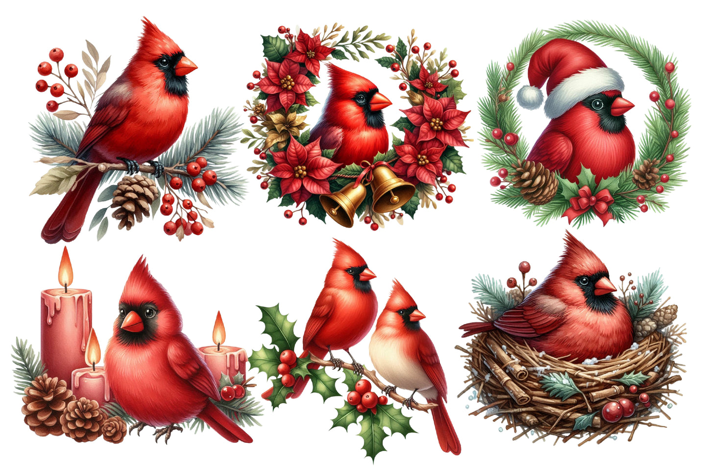 Cardinal Christmas Watercolor Clipart PNG Bundle | Red Cardinal Christmas Clipart | Christmas Bird Sublimation PNG
