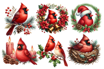 Cardinal Christmas Watercolor Clipart PNG Bundle | Red Cardinal Christmas Clipart | Christmas Bird Sublimation PNG