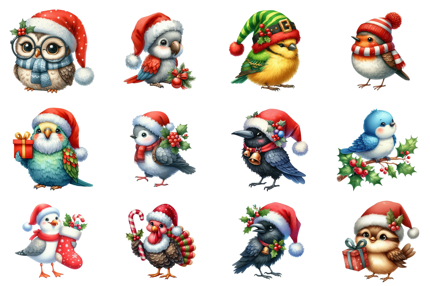 Christmas Bird Clipart PNG Bundle | Watercolor Festive Winter Bird Clipart | Holiday Bird Sublimation PNG