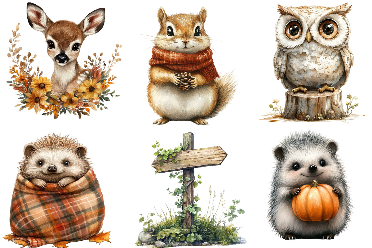 Fall Woodland Animals Clipart PNG Bundle | Cute Autumn Forest Animals | Woodland Creatures Sublimation