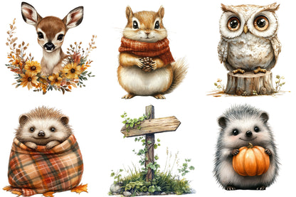 Fall Woodland Animals Clipart PNG Bundle | Cute Autumn Forest Animals | Woodland Creatures Sublimation