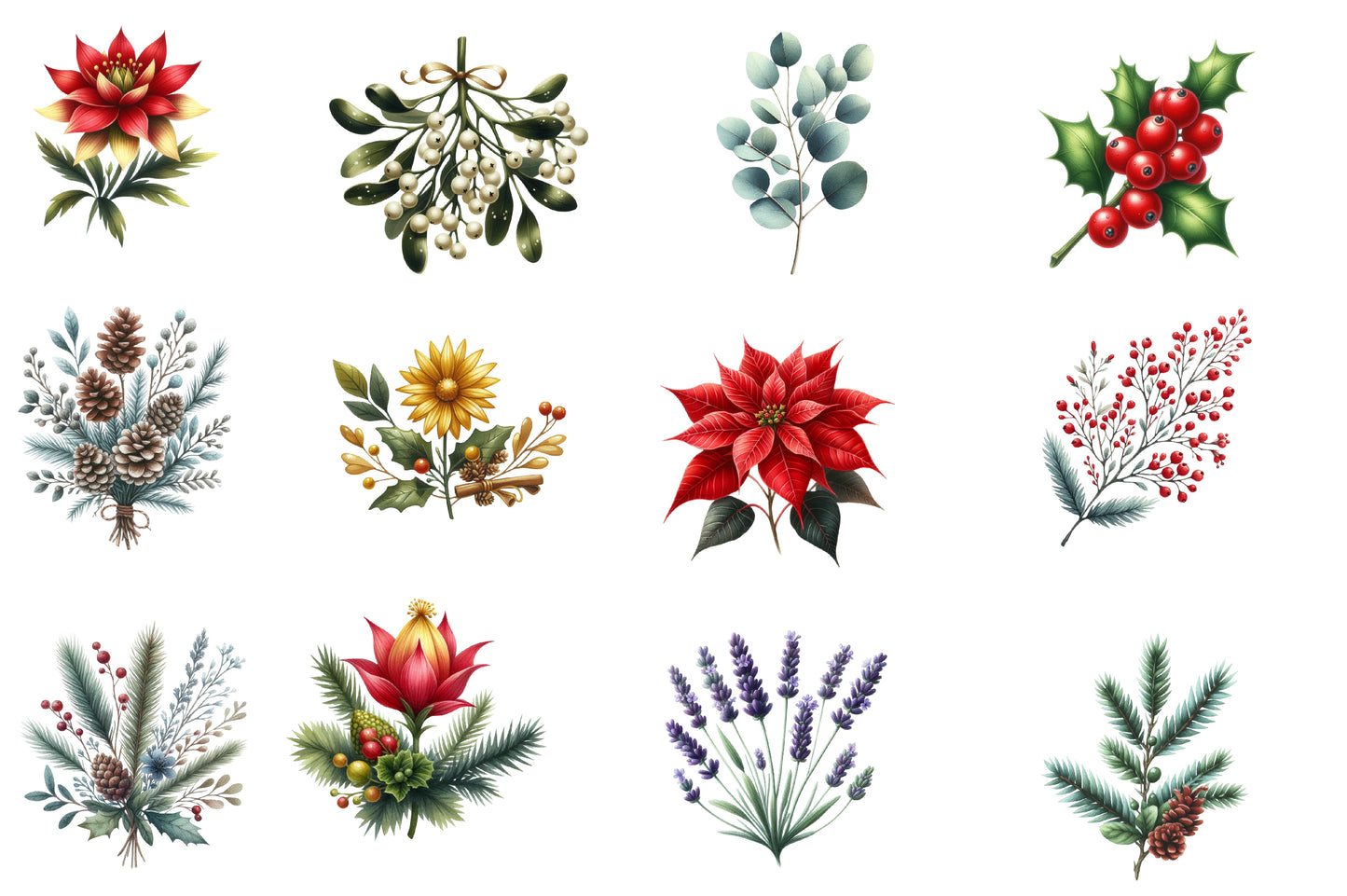 Christmas Wildflowers Clipart PNG Bundle | Watercolor Christmas Wildflower Clipart | Festive Floral Holiday Sublimation PNG