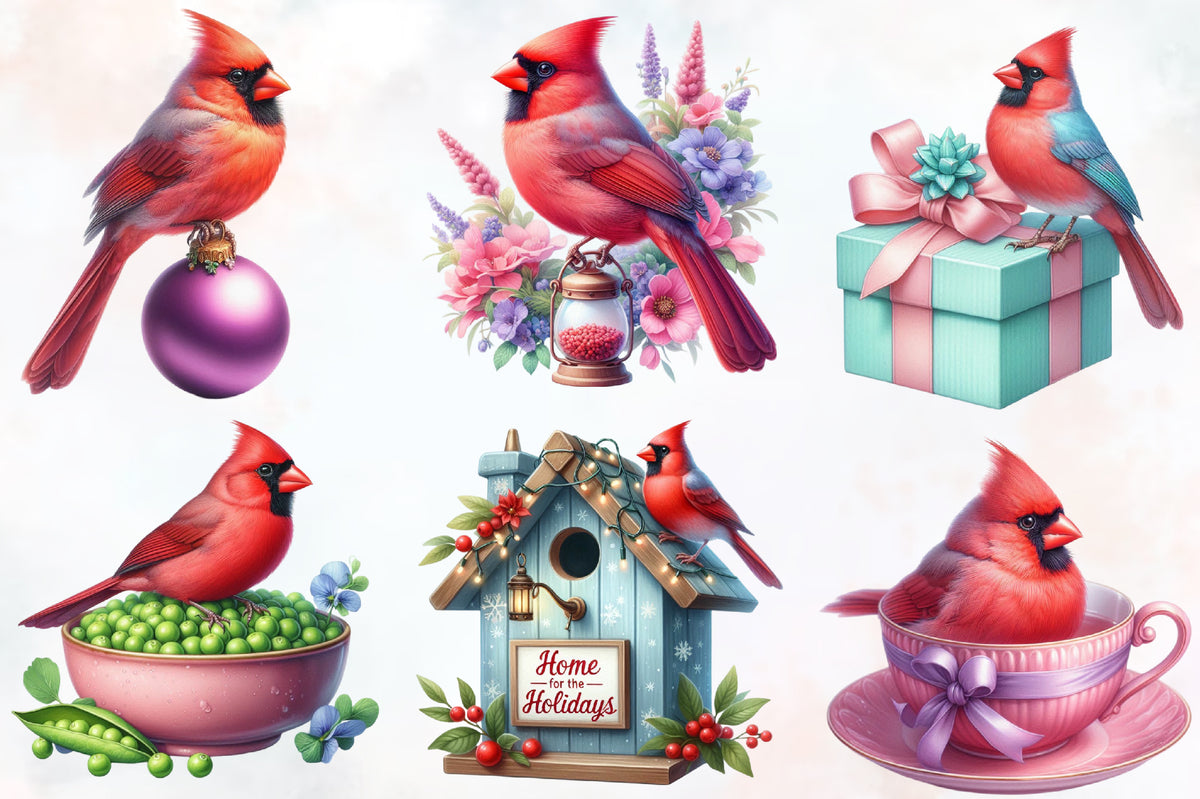 20 Christmas Cardinal Bird PNG Clipart Bundle Watercolor Holiday Red Bird