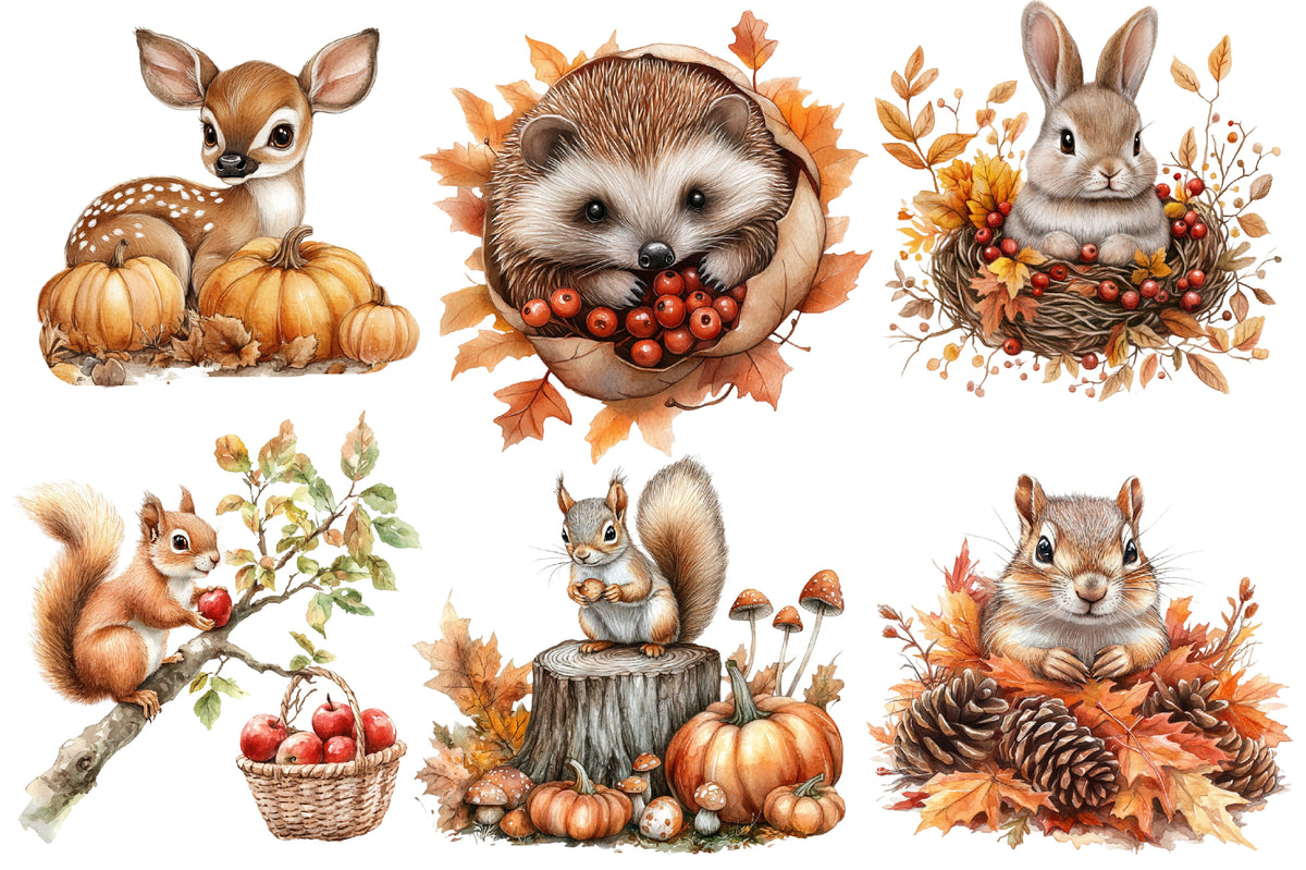 Autumn Forest Animals PNG Bundle 10 Cute Woodland Animal Clipart
