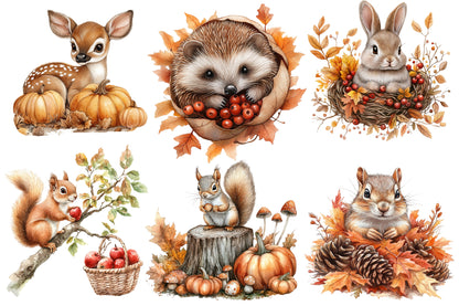 Autumn Forest Animals PNG Bundle 10 Cute Woodland Animal Clipart