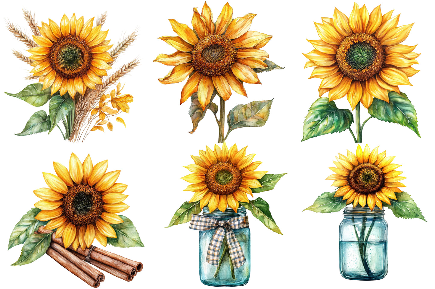 Autumn Sunflowers Clipart PNG Bundle | Watercolor Fall Sunflower Clipart | Rustic Harvest Floral PNG