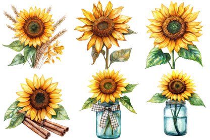 Autumn Sunflowers Clipart PNG Bundle | Watercolor Fall Sunflower Clipart | Rustic Harvest Floral PNG