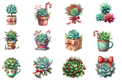 Christmas Succulent Clipart PNG Bundle | Watercolor Festive Succulent Clipart | Holiday Botanical Christmas PNG