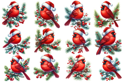 Watercolor Christmas Red Cardinal Bird Clipart PNG Bundle | Holiday Cardinal Bird