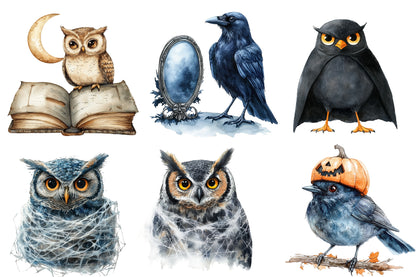 Halloween Birds Clipart PNG Bundle | Spooky Owls, Crows, Ravens, Bats & Witch Bird PNG