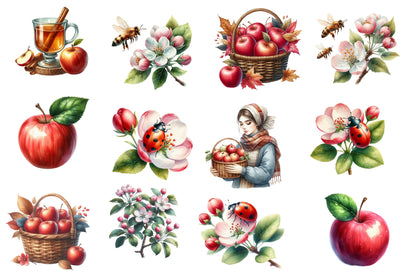 Fall Apples Watercolor Clipart PNG Bundle | Cute Apple Orchard Clipart | Autumn Sublimation