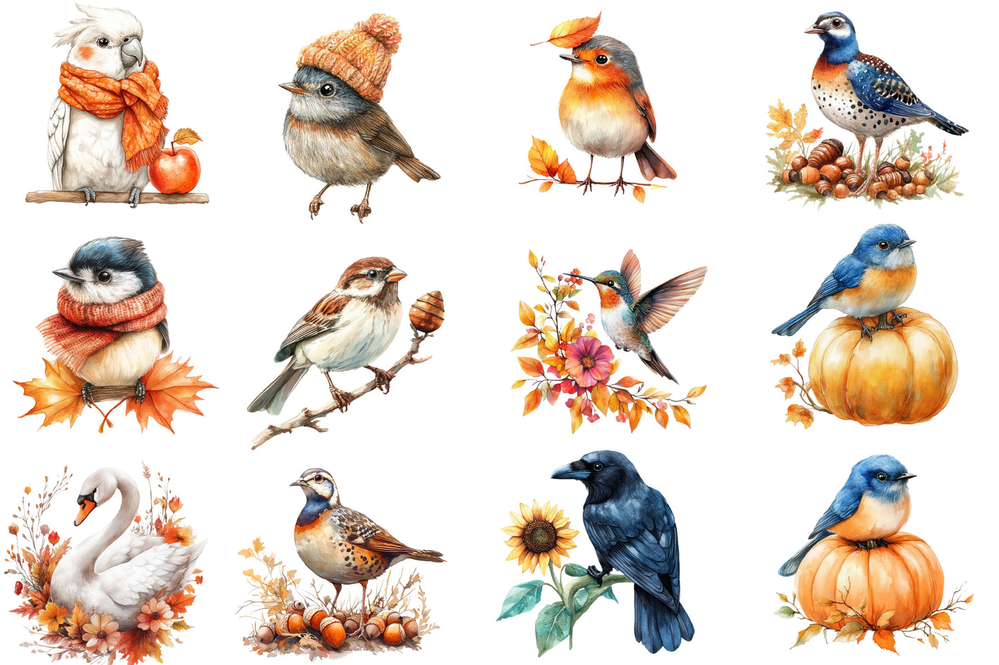 Autumn Birds Clipart PNG Bundle | Watercolor Fall Birds Clipart | Cozy Woodland Bird PNG