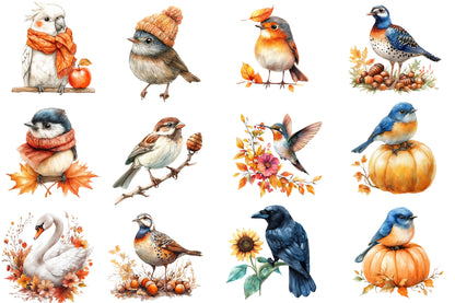 Autumn Birds Clipart PNG Bundle | Watercolor Fall Birds Clipart | Cozy Woodland Bird PNG
