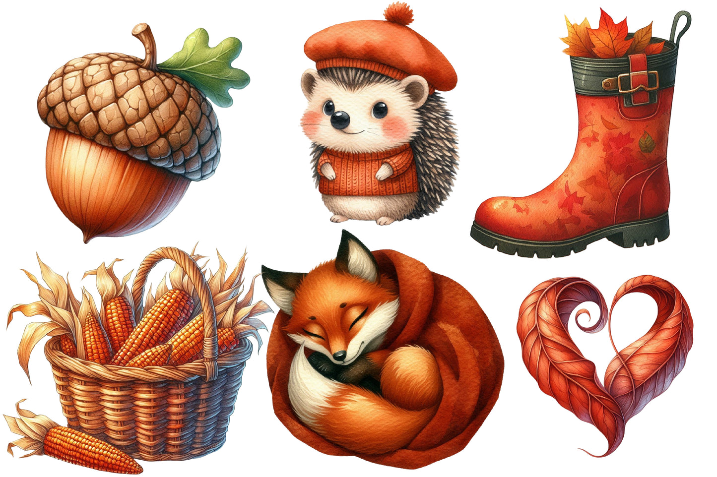 Burnt Orange Autumn Watercolor Clipart PNG Bundle | Fall Clipart, Cute Autumn PNG