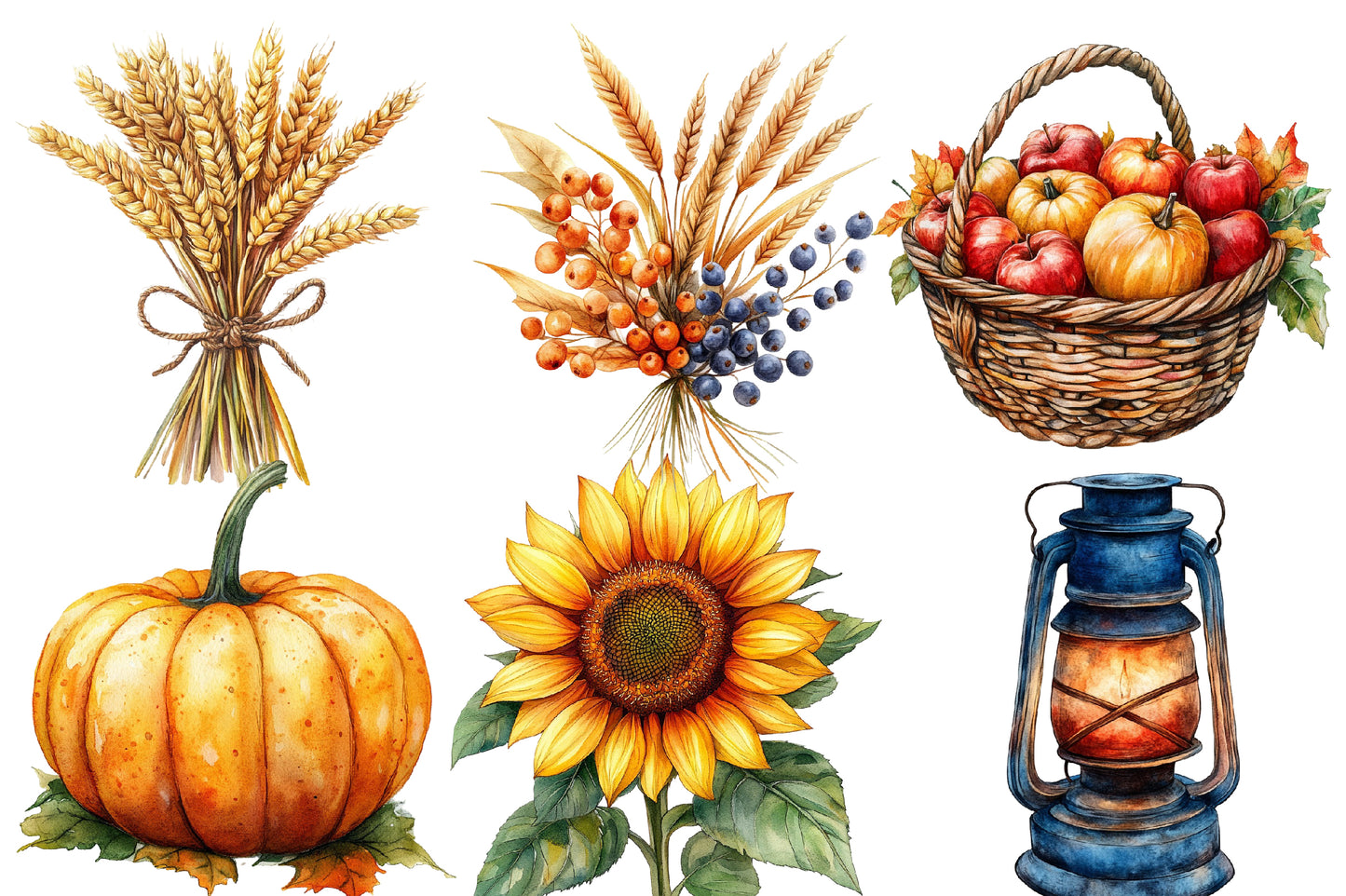Autumn Harvest Clipart PNG Bundle | Fall Harvest Watercolor Clipart | Thanksgiving Sublimation PNG