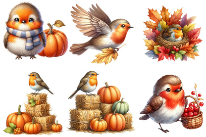 Autumn Robin Clipart PNG Bundle | Watercolor Fall Robin Bird Clipart | Cozy Woodland Robin PNG