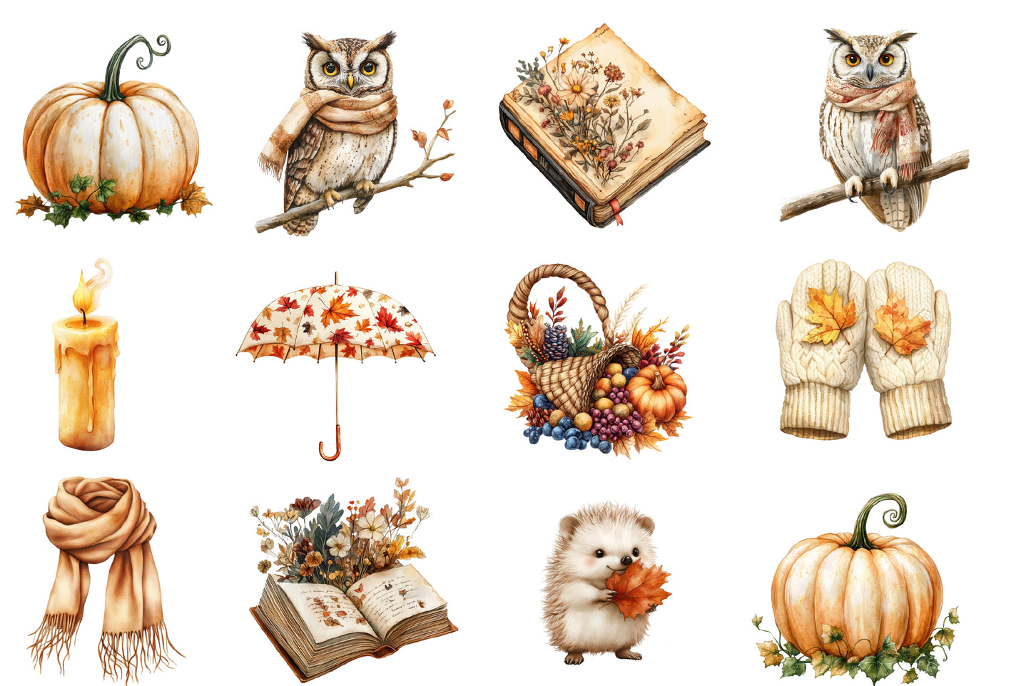Beige Autumn Clipart PNG Bundle | Neutral Watercolor Fall Botanical Clipart | Cozy Boho Harvest PNG