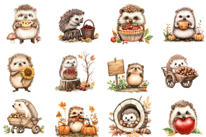 Autumn Hedgehog Garden Clipart PNG Bundle | Cute Hedgehog Watercolor Clipart
