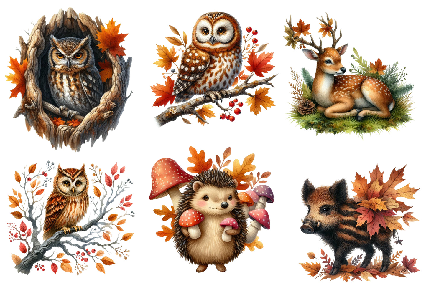 Autumn Forest Clipart PNG Bundle | Watercolor Woodland Forest Clipart | Cozy Fall Nature PNG