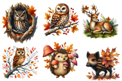 Autumn Forest Clipart PNG Bundle | Watercolor Woodland Forest Clipart | Cozy Fall Nature PNG
