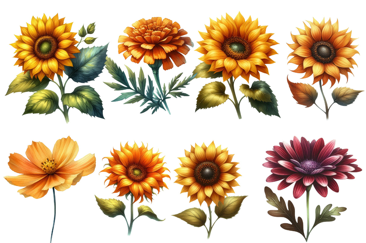 Fall Wildflowers Clipart PNG Bundle | Autumn Wildflower Clipart, Rustic Floral PNG,