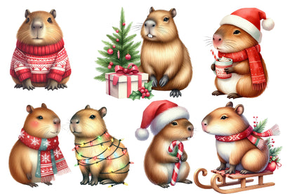 Christmas Capybara Clipart PNG Bundle | Watercolor Cute Christmas Capybara Clipart | Holiday Capybara Sublimation PNG