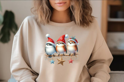 Christmas Funny Birds PNG Clipart Bundle | Watercolor Christmas Birds with Santa Hats, Holiday Hats, Ornaments & Festive Decorations