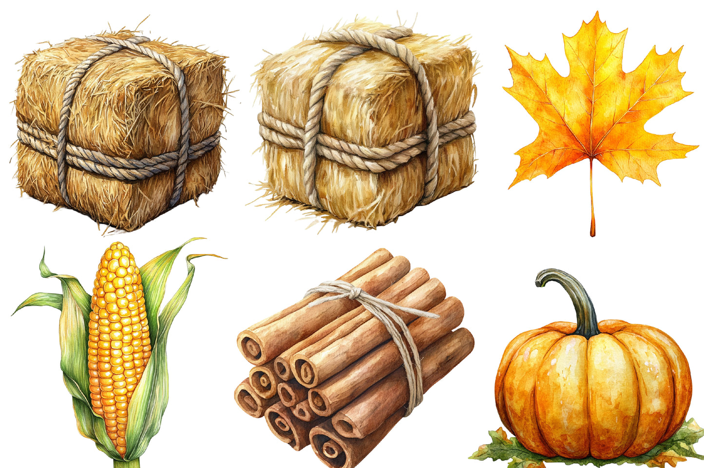 Autumn Harvest Clipart PNG Bundle | Fall Harvest Watercolor Clipart | Thanksgiving Sublimation PNG
