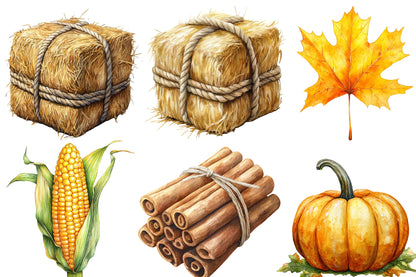 Autumn Harvest Clipart PNG Bundle | Fall Harvest Watercolor Clipart | Thanksgiving Sublimation PNG