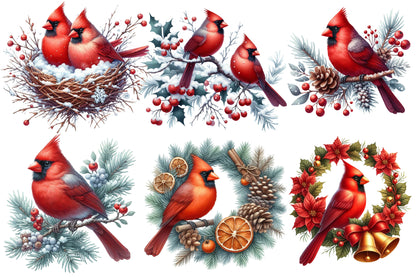 Cardinal Christmas Watercolor Clipart PNG Bundle | Red Cardinal Christmas Clipart | Christmas Bird Sublimation PNG