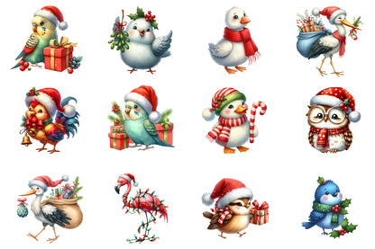 Christmas Bird Clipart PNG Bundle | Watercolor Festive Winter Bird Clipart | Holiday Bird Sublimation PNG