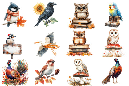 Autumn Birds Clipart PNG Bundle | Watercolor Fall Birds Clipart | Cozy Woodland Bird PNG
