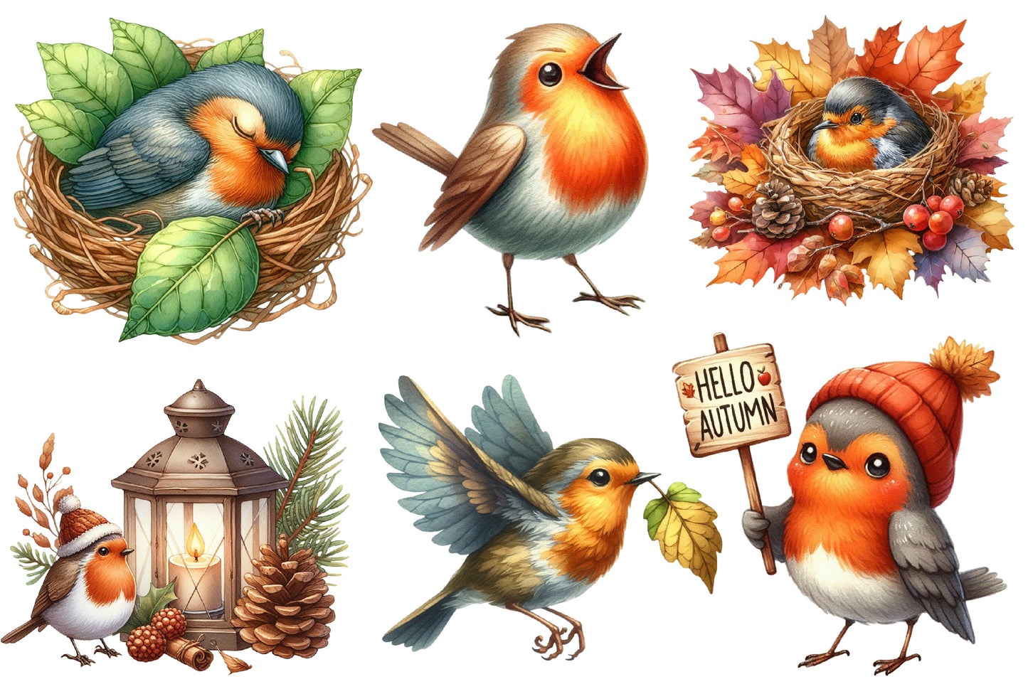 Autumn Robin Clipart PNG Bundle | Watercolor Fall Robin Bird Clipart | Cozy Woodland Robin PNG