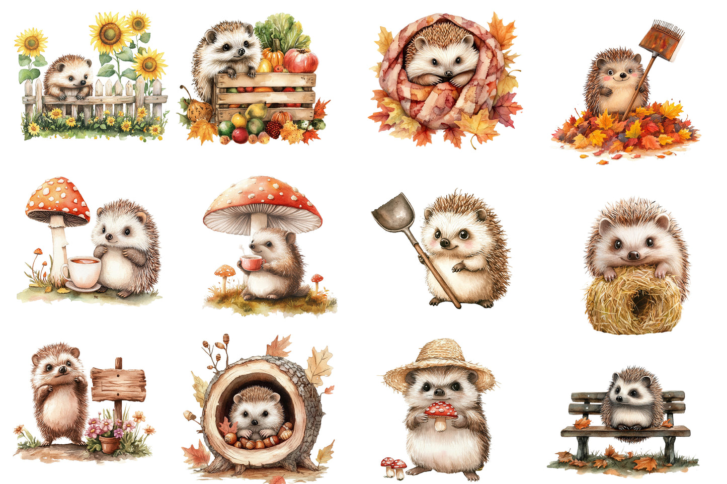 Autumn Hedgehog Garden Clipart PNG Bundle | Cute Hedgehog Watercolor Clipart