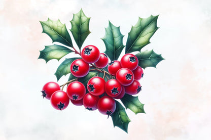 Christmas Berries Clipart PNG Bundle | Red Holly Berries, Winter Greenery, Christmas Berry Branches & Festive Botanical Designs