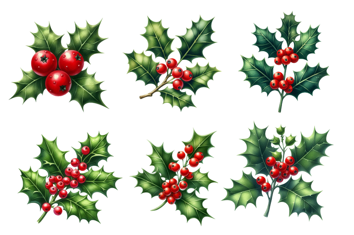 Christmas Red Berries Branches Clipart PNG Bundle | Watercolor Winter Red Berry Branches | Holiday Botanical Sublimation PNG