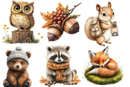 Fall Woodland Animals Clipart PNG Bundle | Cute Autumn Forest Animals | Woodland Creatures Sublimation