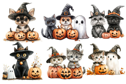 Halloween Dog and Cat Clipart PNG | Cute Witch Hat Pets, Black Cat & Puppy Pumpkin Clipart,