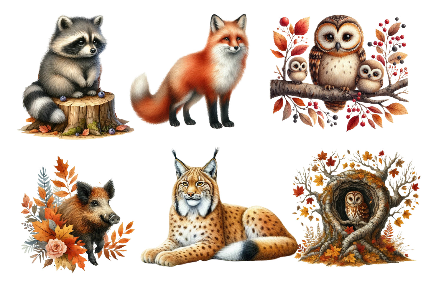 Autumn Forest Clipart PNG Bundle | Watercolor Woodland Forest Clipart | Cozy Fall Nature PNG