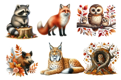 Autumn Forest Clipart PNG Bundle | Watercolor Woodland Forest Clipart | Cozy Fall Nature PNG