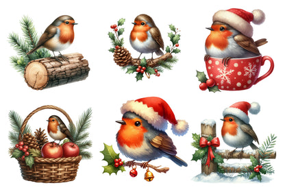 Christmas Robin Watercolor Clipart PNG Bundle | Cute Christmas Bird Clipart | Holiday Sublimation