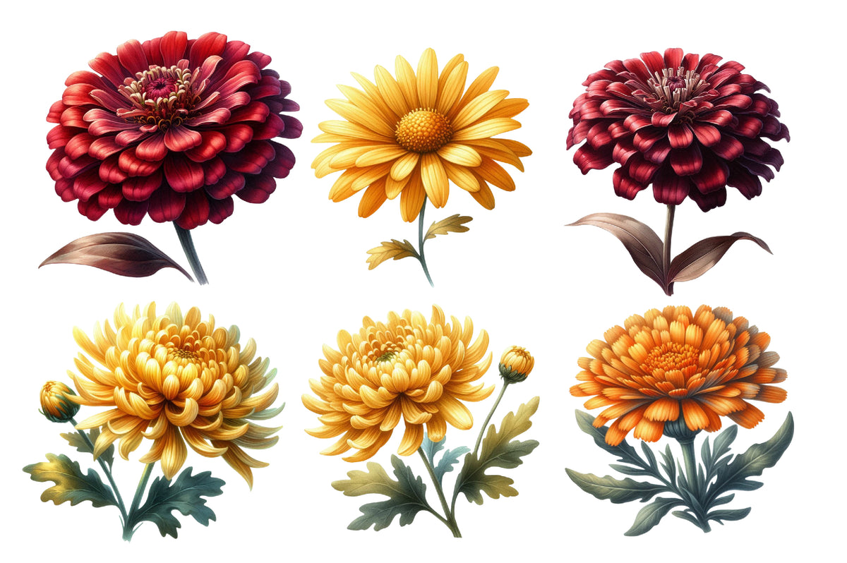 Fall Wildflowers Clipart PNG Bundle | Autumn Wildflower Clipart, Rustic Floral PNG,