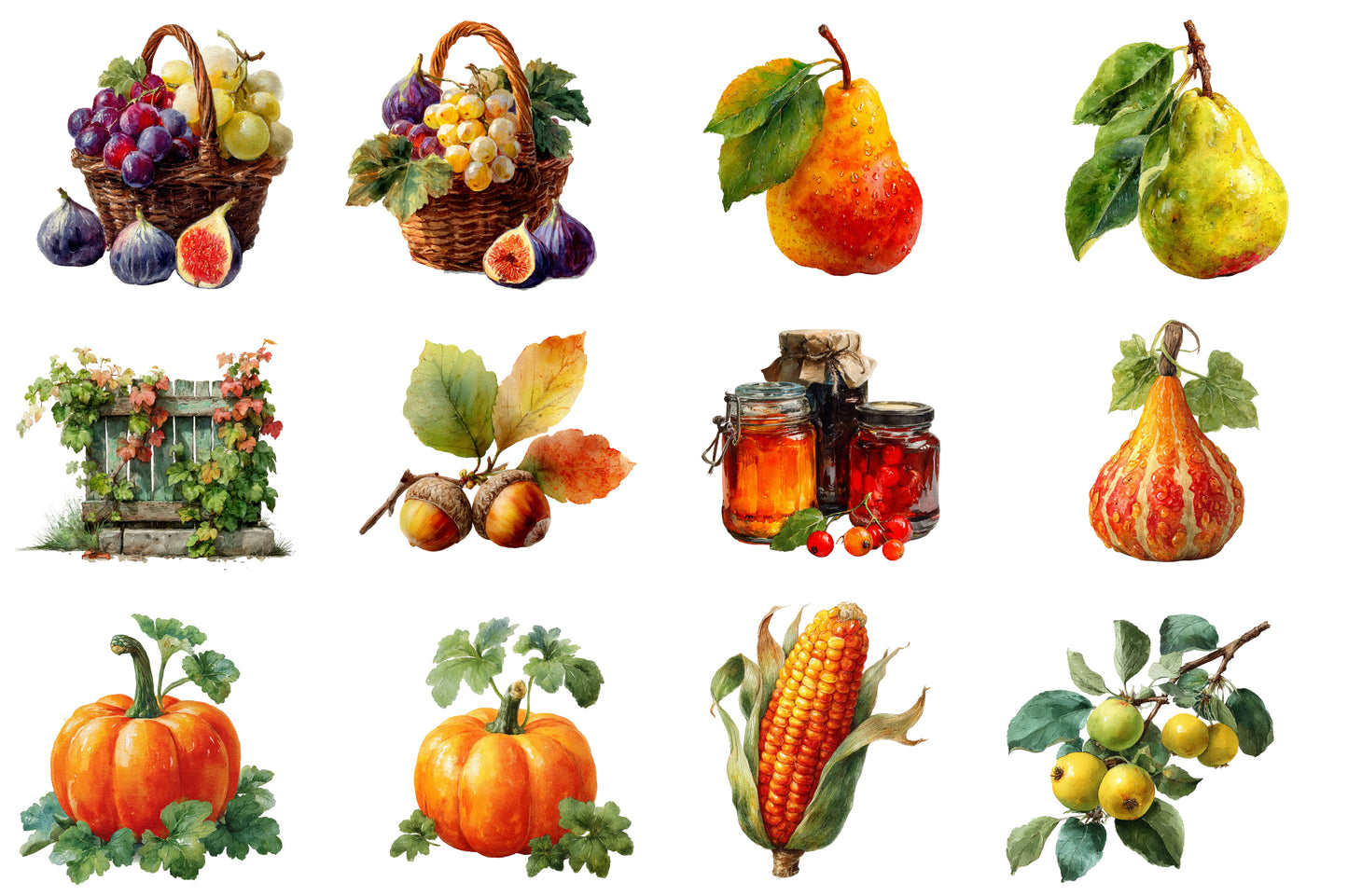 Autumn Watercolor Clipart PNG Bundle | Fall Harvest Clipart | Rustic Autumn PNG | Woodland Fall Sublimation